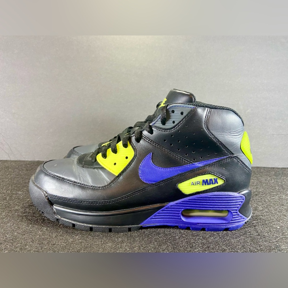 Nike Air Max Men's Black and Purple Shoes